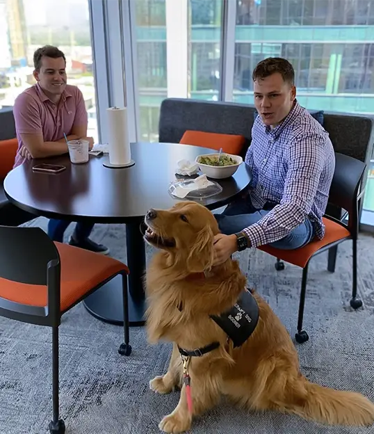 Therapy dog visiting a corporate office break room as employees relax during a wellness-focused therapy dog visit for stress relief