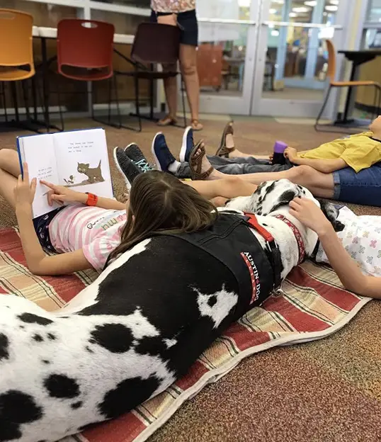 Children reading alongside a therapy dog during a library visit, part of a literacy support program through therapy dog visits